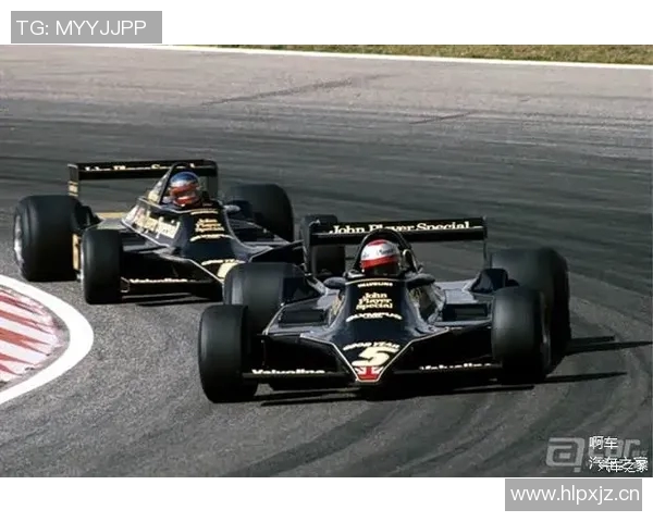 F1赛季车队排名及车手表现总结