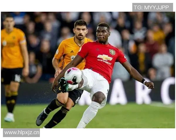 深度解析保罗现阶段状态剖析与未来发展趋势预测